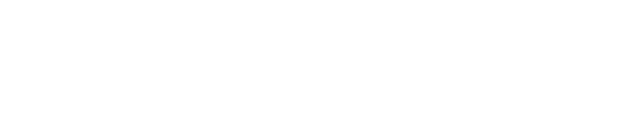 tiger2